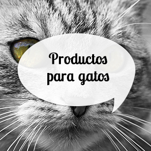 Accesorios para gatos