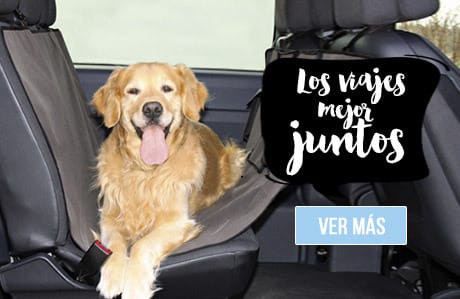 banner mascotas movil